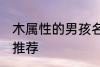 木属性的男孩名字 木属性的男孩名字推荐
