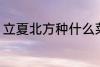 立夏北方种什么菜 立夏北方种哪些菜