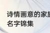 诗情画意的家族名字 诗情画意的家族名字锦集