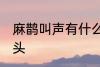 麻鹊叫声有什么兆头 麻雀叫有什么兆头