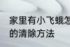 家里有小飞蛾怎么消灭 家里有小飞蛾的清除方法