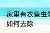 家里有衣鱼虫怎么去除 家里有衣鱼虫如何去除