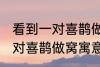 看到一对喜鹊做窝有什么兆头 看到一对喜鹊做窝寓意