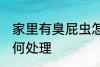 家里有臭屁虫怎么办 家里有臭屁虫如何处理