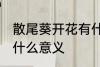 散尾葵开花有什么兆头 散尾葵开花有什么意义