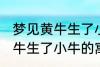 梦见黄牛生了小牛有什么兆头 梦见黄牛生了小牛的寓意是啥