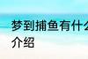 梦到捕鱼有什么兆头 梦见捕鱼的寓意介绍