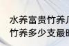 水养富贵竹养几支最旺运财 水养富贵竹养多少支最旺运财