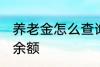 养老金怎么查询余额 养老金如何查询余额