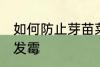 如何防止芽苗菜发霉 怎样防止芽苗菜发霉