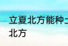 立夏北方能种土豆吗 能种土豆吗立夏北方