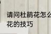 请问杜鹃花怎么养不爱死啊 养殖杜鹃花的技巧