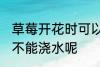 草莓开花时可以浇水吗 草莓开花时能不能浇水呢