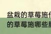 盆栽的草莓施什么肥好不要化肥 盆栽的草莓施哪些肥好不要化肥