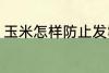 玉米怎样防止发霉 玉米如何防止发霉