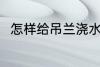 怎样给吊兰浇水 要如何给吊兰浇水