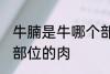 牛腩是牛哪个部位的肉 牛腩是牛什么部位的肉
