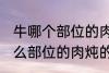 牛哪个部位的肉炖的牛肉汤好喝 牛什么部位的肉炖的牛肉汤好喝