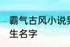 霸气古风小说男主名字 古风儒雅的男生名字