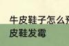 牛皮鞋子怎么预防发霉 如何预防真皮皮鞋发霉