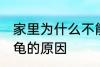 家里为什么不能养乌龟 家里不能养乌龟的原因