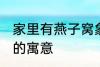 家里有燕子窝象征什么 家里有燕子窝的寓意