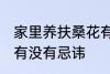 家里养扶桑花有忌讳吗 家里养扶桑花有没有忌讳