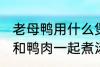 老母鸭用什么煲汤最好 哪些食物可以和鸭肉一起煮汤