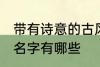带有诗意的古风名字 带有诗意的古风名字有哪些
