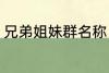 兄弟姐妹群名称 兄弟姐妹群名称推荐