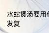 水蛇煲汤要用什么材料煲好 水蛇煲汤发复