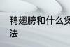 鸭翅膀和什么煲汤好喝 鸭翅膀煲汤做法