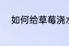 如何给草莓浇水 怎么给草莓浇水