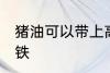 猪油可以带上高铁吗 猪油能不能上高铁