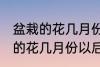 盆栽的花几月份以后换土比较好 盆栽的花几月份以后换土好