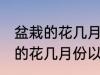 盆栽的花几月份以后换土比较好 盆栽的花几月份以后换土好