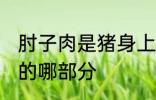 肘子肉是猪身上的哪个部位 肘子是猪的哪部分