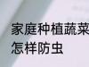 家庭种植蔬菜如何防虫 家庭种植蔬菜怎样防虫