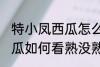 特小凤西瓜怎么看熟了没有 特小凤西瓜如何看熟没熟