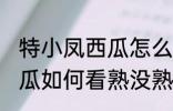 特小凤西瓜怎么看熟了没有 特小凤西瓜如何看熟没熟