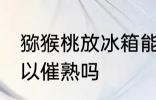 猕猴桃放冰箱能熟吗 猕猴桃放冰箱可以催熟吗