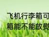 飞机行李箱可以放熨烫机吗 飞机行李箱能不能放熨烫机