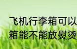 飞机行李箱可以放熨烫机吗 飞机行李箱能不能放熨烫机