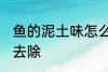 鱼的泥土味怎么去除 鱼的泥土味如何去除