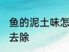 鱼的泥土味怎么去除 鱼的泥土味如何去除