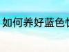 如何养好蓝色惊喜 怎么养好蓝色惊喜