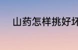 山药怎样挑好坏 山药如何挑好坏