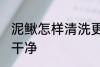泥鳅怎样清洗更干净 泥鳅如何清洗更干净
