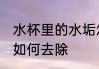 水杯里的水垢怎么去除 水杯里的水垢如何去除