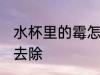 水杯里的霉怎么去除 水杯里的霉如何去除